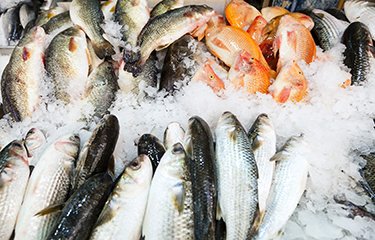 Industry’s challenge to seafood import monitoring program rejected #news #business #food  amp.gs/peFa