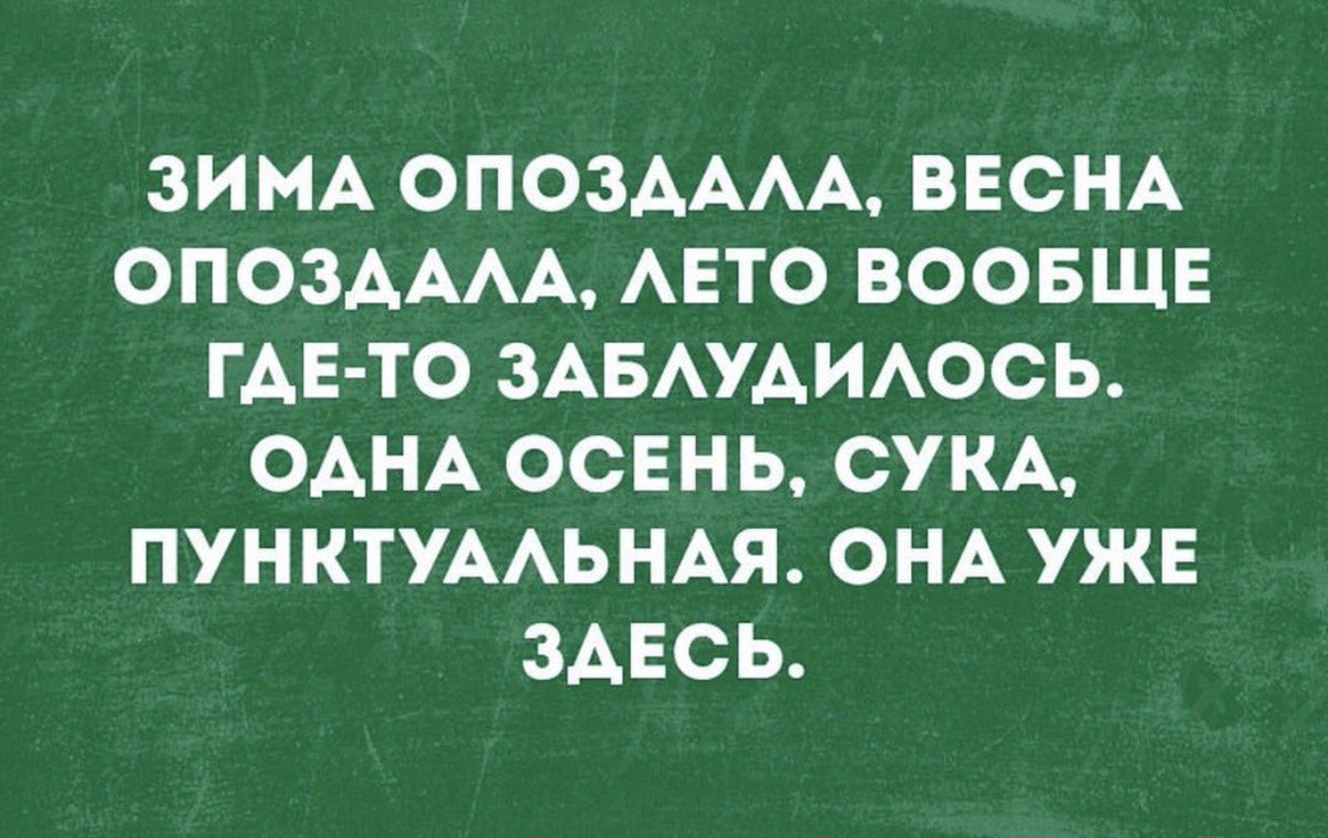 Посмеёмся? (@kseny111) on Twitter photo 