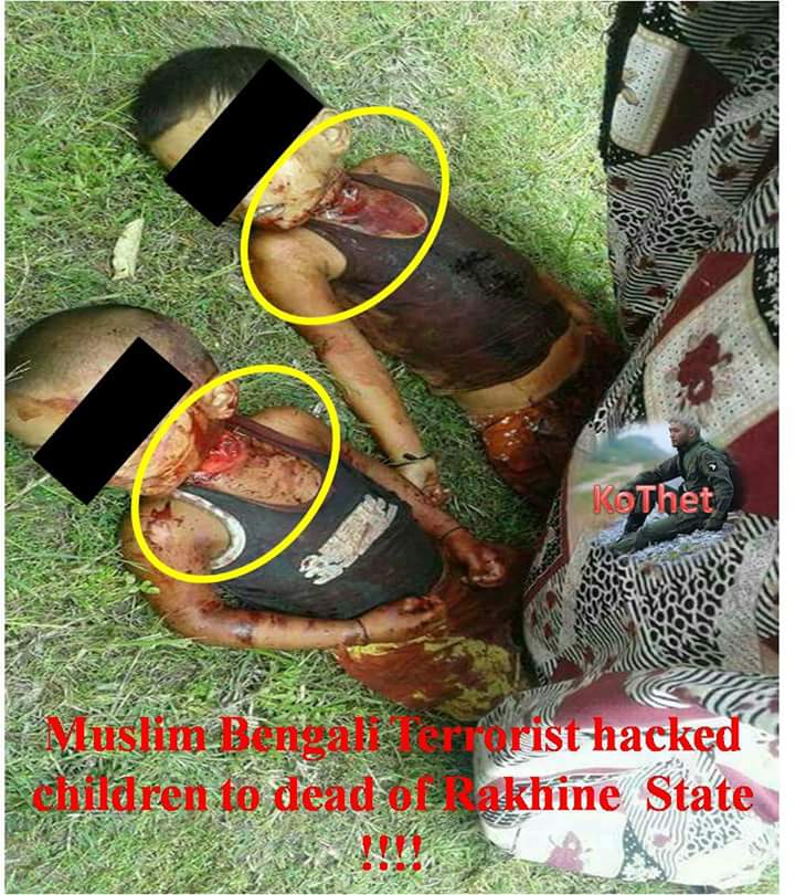 Rakhine People struggling to save their lives while Rohingya Terrorists indiscriminately killing and fighting.