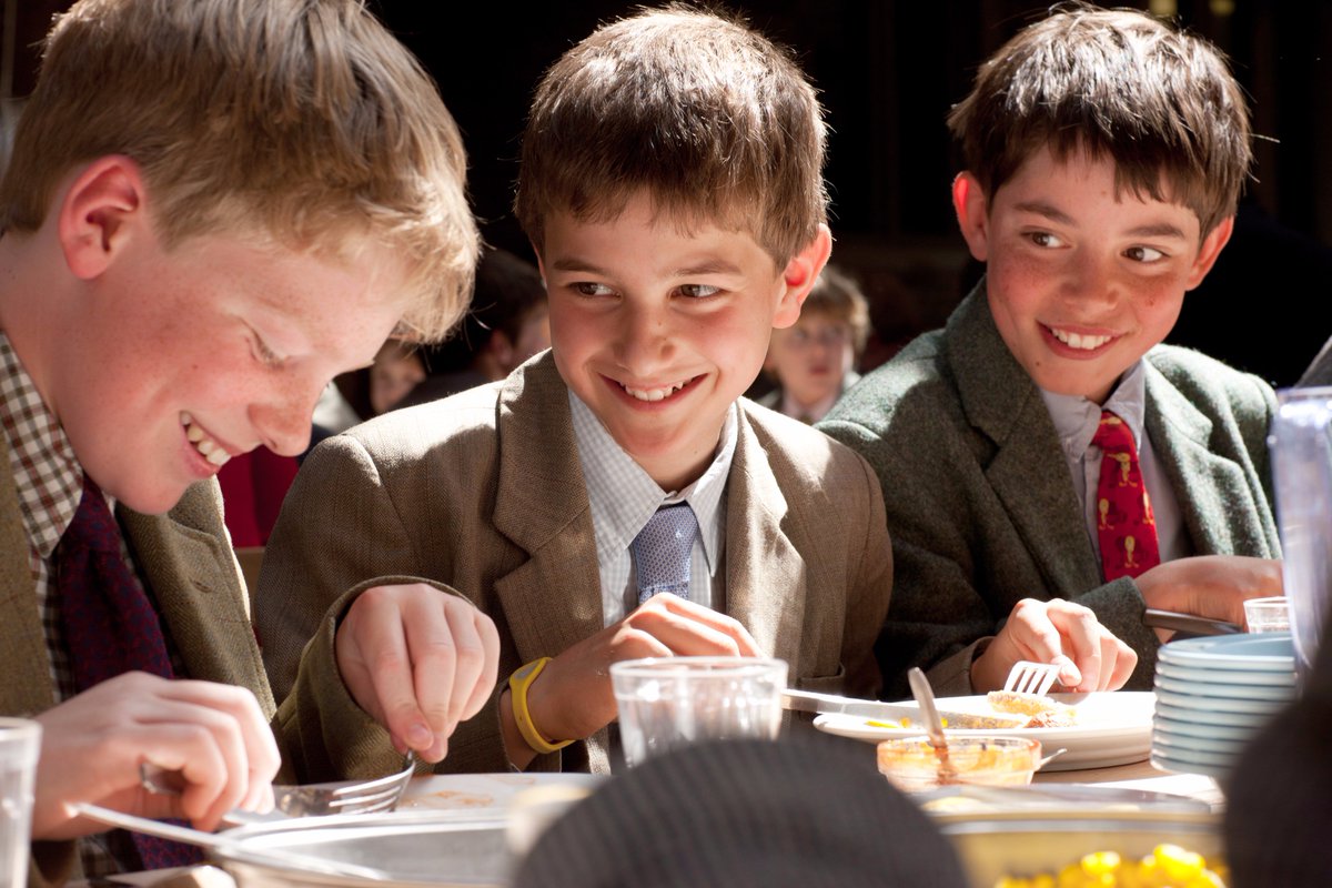 BvS Education tweet media