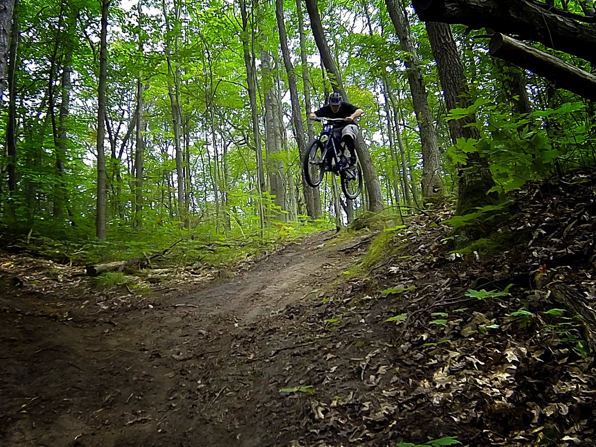 CBaileyOfficial's tweet photo. #Today ride at #Northumberland #Forest ''Flying Squirrel Trail'' #CycleNthld #mtb #photo #cycling #Riders #singletrack #nature #Ontario https://t.co/Cmj6m07eYo