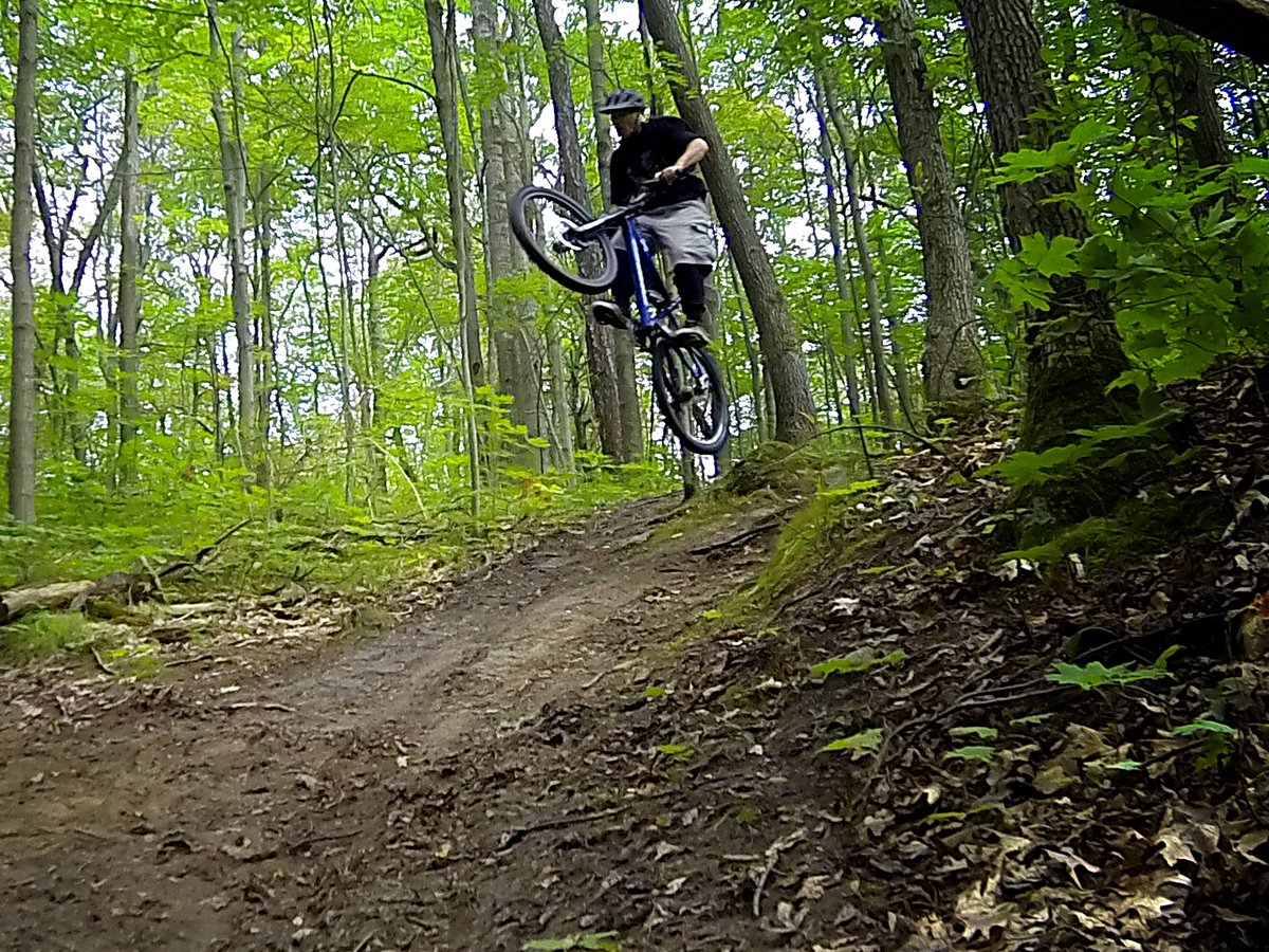 CBaileyOfficial's tweet photo. #Today ride at #Northumberland #Forest ''Flying Squirrel Trail'' #CycleNthld #mtb #photo #cycling #Riders #singletrack #nature #Ontario https://t.co/Cmj6m07eYo