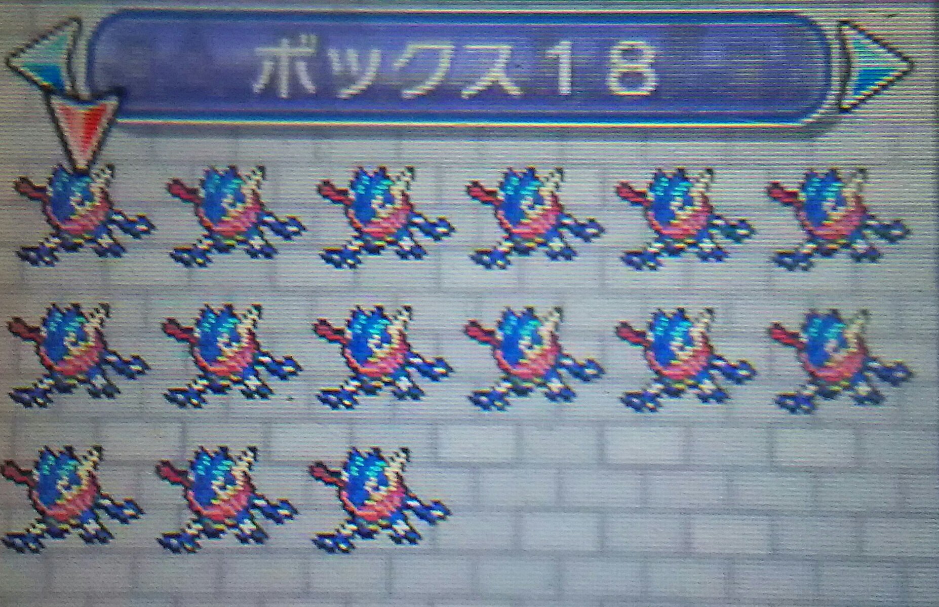 とモ ポケモン配布 すぐに使える Lv 50 6v夢ゲッコウガを 15名 にプレゼント 参加方法 Rtのみ 締め切り 9月2日夜9時 注意 Dmを送れるようにしておいて下さい ポケモンサンムーン ポケモンプレゼント ポケモン配布 ポケモン交換