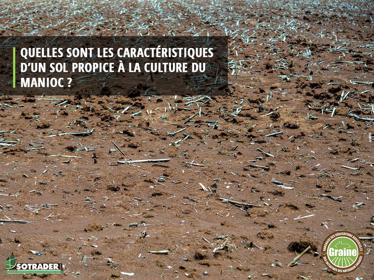 La culture du manioc nécessite un sol léger et profond de bonne texture.
#Graine #MaTerreMaRichesse