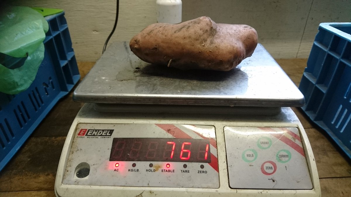 oscarjansen02's tweet image. #biologische kanjer 
Gezonde en levende bodem zorgt voor krachtige resultaten 
#resultmanagement 2.0 
Natuurlijk #leiderschap