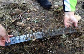 Cables, pinchos, estacas ... ¿Hasta cuando?
¿Sabes quién coloca las trampas para ciclistas en el campo?
COLABORA ☎062
Dale RT