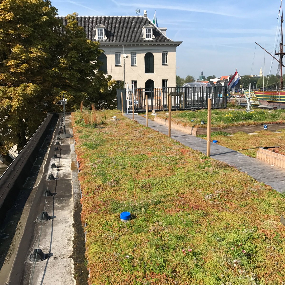 <a href="/lapperre/">Roald Lapperre</a> projectsmartroof.nl van @TopsectorWater onderzoekt het verkoelende effect van blauw-groene daken als mitigerende maatregel tegen hitte.