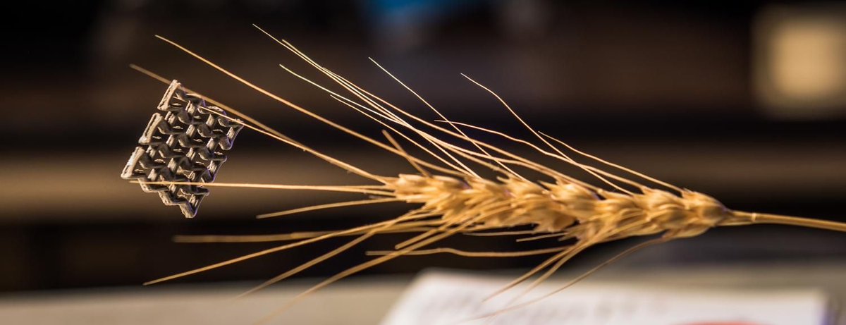 2dm_solutions's tweet image. Guinness World Records names graphene aerogel as world's least dense 3-D printed structure buff.ly/2x4X6zF