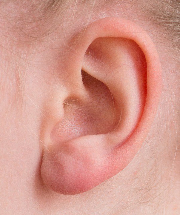 Do you know how many parts make up the ear? Three – the outer ear, the middle ear and the inner ear #hearingfact
