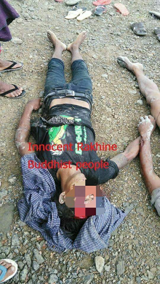 Bangali terrorists kill again innocent rakhine ethnics in northern myothugyi zula village maungdaw.