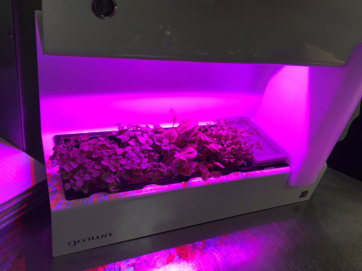 UKSeafoodCompetition tweet media