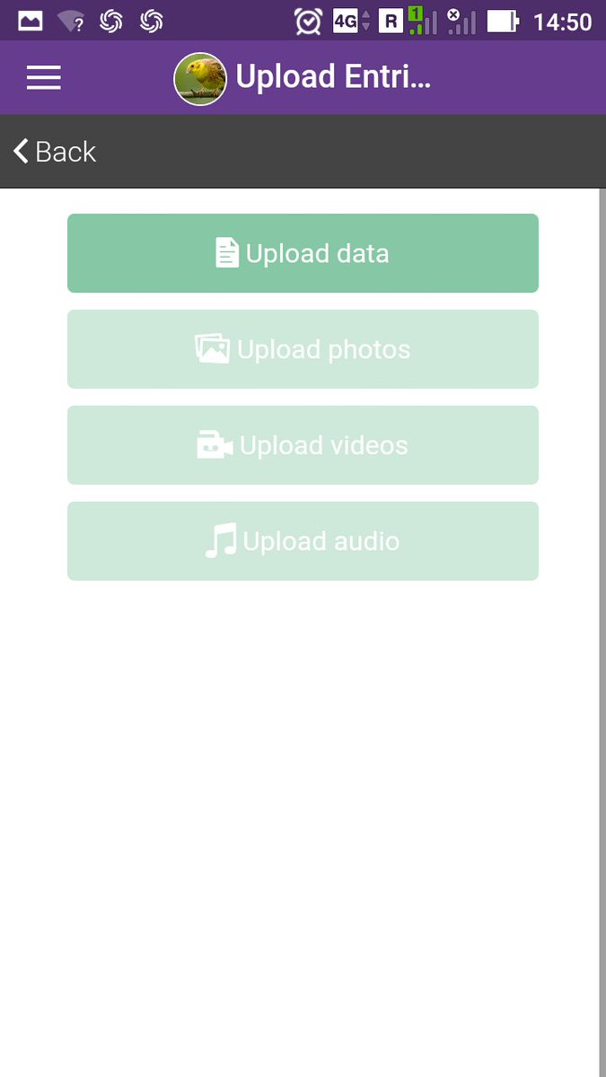 YDialects's tweet photo. In upcoming season in New Zealand, you can try new @EpiCollect for recording yellowhammer songs. More at https://t.co/CB2idqVY56. https://t.co/osJtmJmlnR