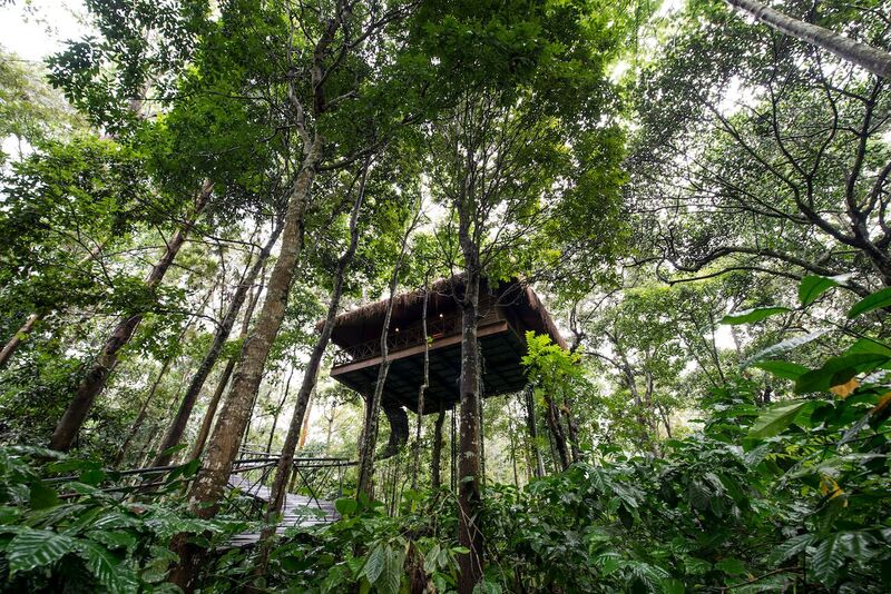 rareindia's tweet photo. Ever since childhood we all dream to live in a #treehouse come make your dream true at #PepperTrail. To book write to bookrare@rareindia.com https://t.co/fQ4YfyohsR