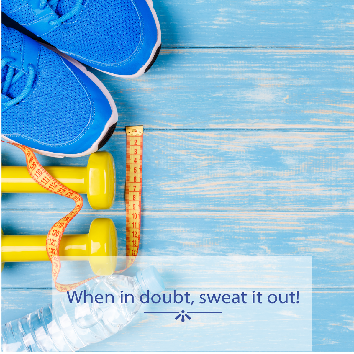 SalusFoods's tweet photo. #Eveningworkout are best for building #muscle and good for high intensity and power based #exercise, such as weight training and #aerobic https://t.co/rDWNPcoyIW