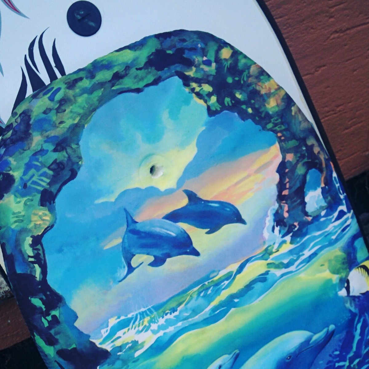 Sprigasaurus's tweet image. TY mystery donator who left 2 bodyboards outside my house for #upcycling instead of landfill #GoodChoice
#waveofwaste #2minutebeachclean