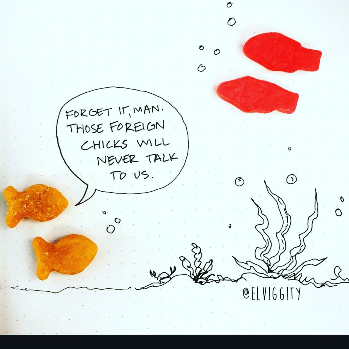 TheLyfeAquatic's tweet photo. Nothing ventured, nothing gained, my dudes.

#goldfish #swedishfish #fish #waves #ocean #underwater  #scuba #dive #diver #surf #surfer https://t.co/R7sVauBJdo