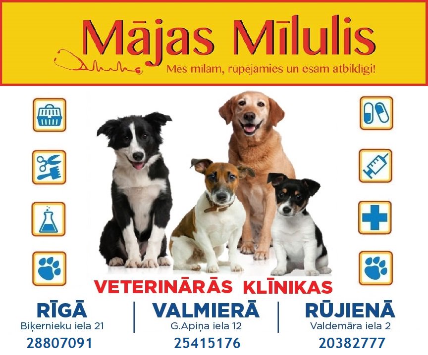 Katram mājdzīvniekam ir jābūt savam ārstam, lai mājas mīluļa veselība allaž būtu drošās un profesionālās rokās.majasmilulis.lv/lv/veterinara-…