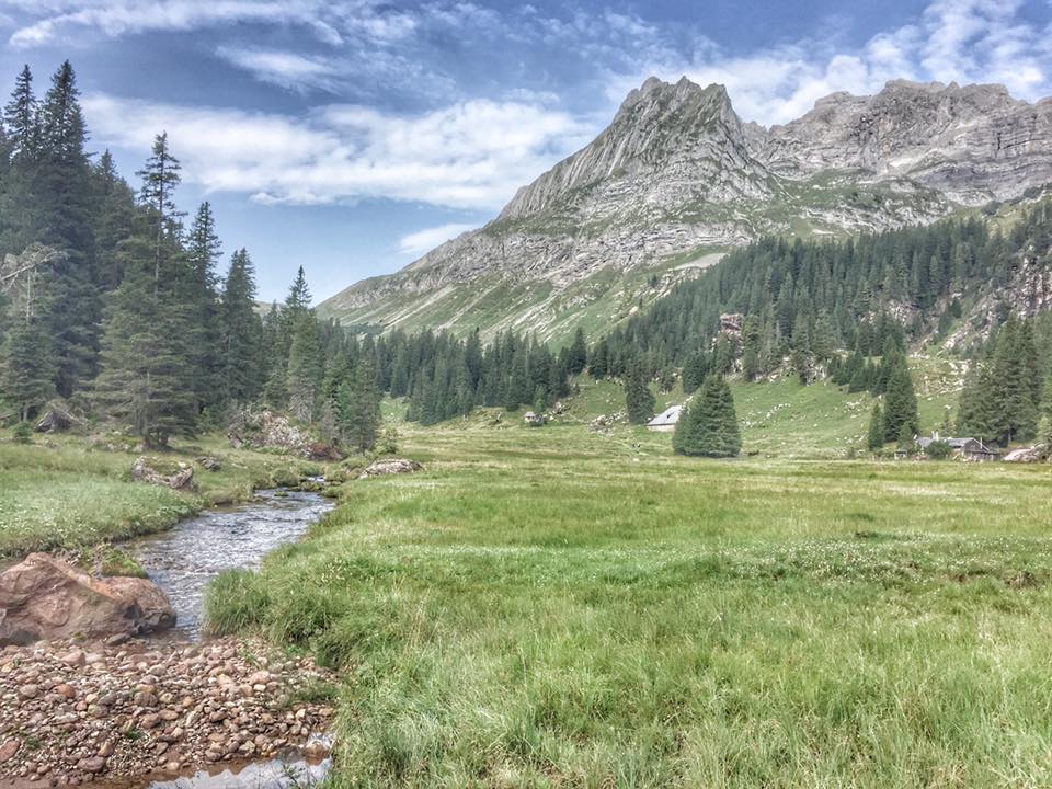 peakdate tweet picture