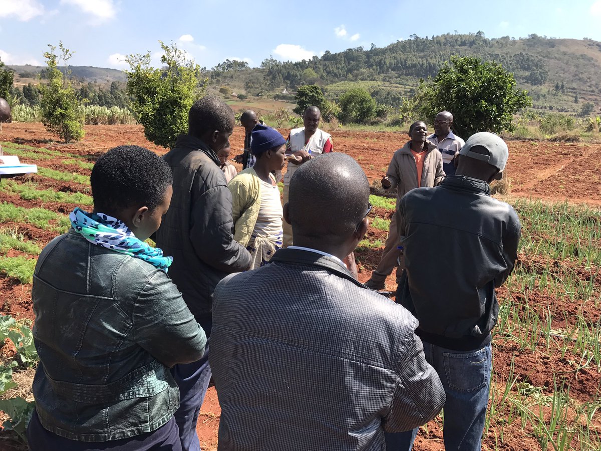 sekuru03's tweet image. From the offices to the coal face. #evidencebasedprogramming. Full stakeholder engagemenent. #NPCC @faosfsafrica @PalladiumImpact @LFSPZim