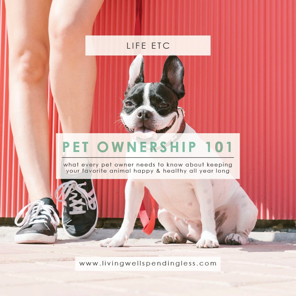 RuthSoukup's tweet photo. 🐶 Keep your new pet healthy with these first year new #PetOwner tips! #pets101 #lifeetc. https://t.co/6IrkSUEFKK https://t.co/ncVviOQ7Z2