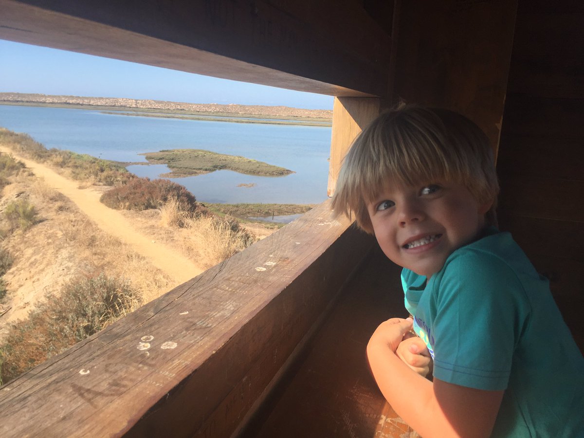 KnightCE's tweet photo. @Kimpton_Primary birdwatching... 'I can see a flamingo...' hmmm. 'I can also see lots of golf balls'! #50thingstodosummer2017 https://t.co/aDL15YKewN
