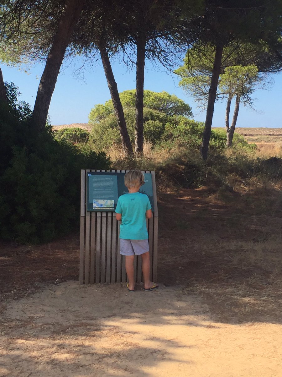 KnightCE's tweet photo. @Kimpton_Primary birdwatching... 'I can see a flamingo...' hmmm. 'I can also see lots of golf balls'! #50thingstodosummer2017 https://t.co/aDL15YKewN