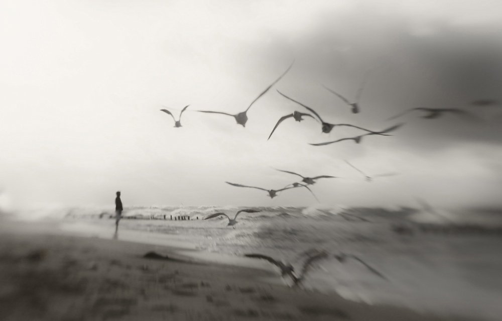 AgrapidiL's tweet photo. Farewell to the sea

Anna Niemiec #photography https://t.co/0cBJHitUCq