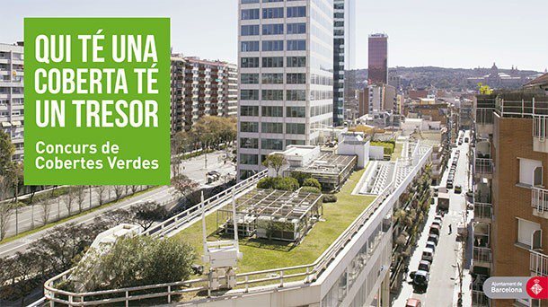 BCN_EspaiPublic's tweet photo. Per una ciutat més sostenible, posa-li verd al teu terrat! Concurs cobertes verdes: https://t.co/P49w7285v2 #naturaurbana #bcnsostenible https://t.co/yGD8J8yCif