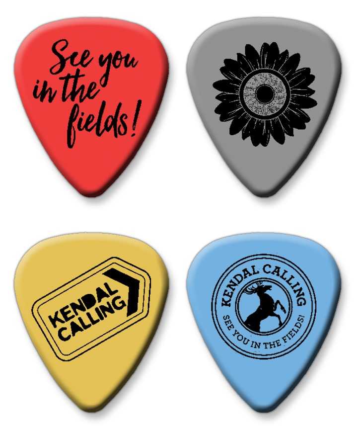 Which would you pick ? #guitar #festival #music