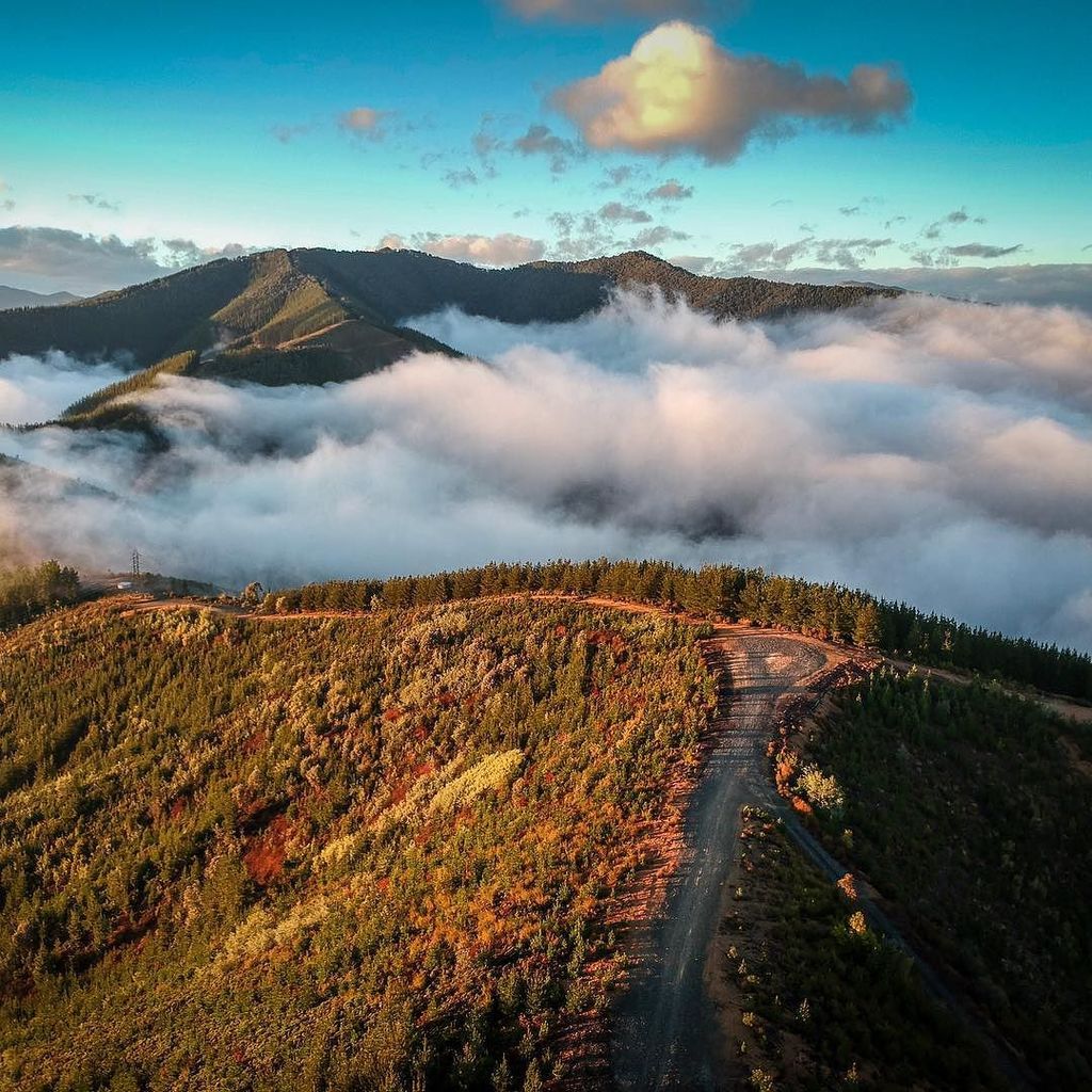 thegojetter's tweet photo. Amazing views and mood from Parrots Hill about Porepunkah and Bright
Loc : Porepunkah, Victoria
••••••••••••••••••••••••••••••••••••••
#fro… https://t.co/efNh4b3sxg