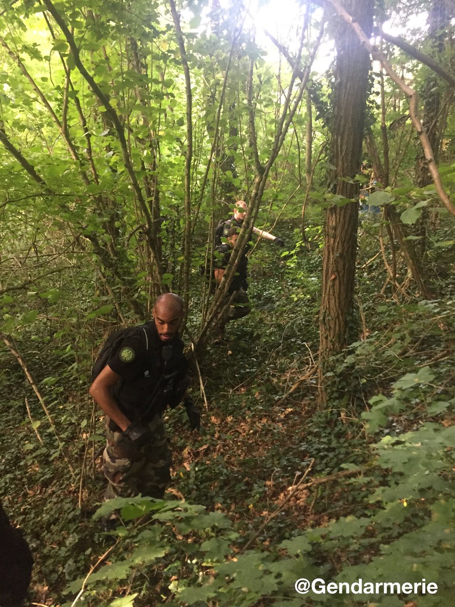 Gendarmerie's tweet photo. ❗️#Isère #Maëlys Poursuite des investigations pour retrouver le moindre indice. En cas d'informations contactez 📞 04.76.37.00.17 https://t.co/jN78tsH2gH
