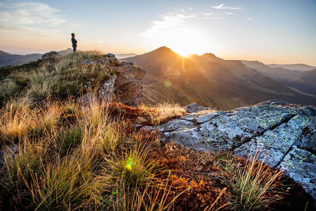 Auvergne Tourisme 🌻 tweet media