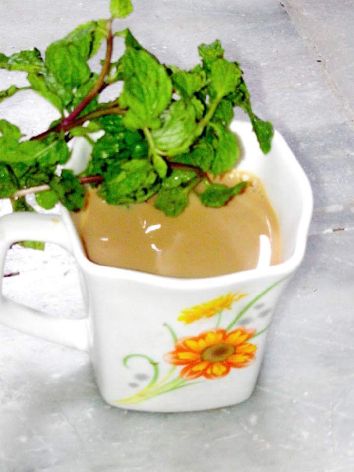 shilpsnutrilife's tweet photo. MINT TEA (PUDINA CHAI)
https://t.co/mQ2pQtlkUP
#minttea #pudinachai #garamchai #Winterspecial #immunity #preventcold https://t.co/dF4p4DY9kN