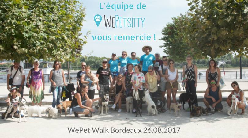 WePetsitty® tweet media
