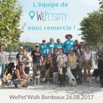 Photo by WePetsitty® (@WePetsitty)