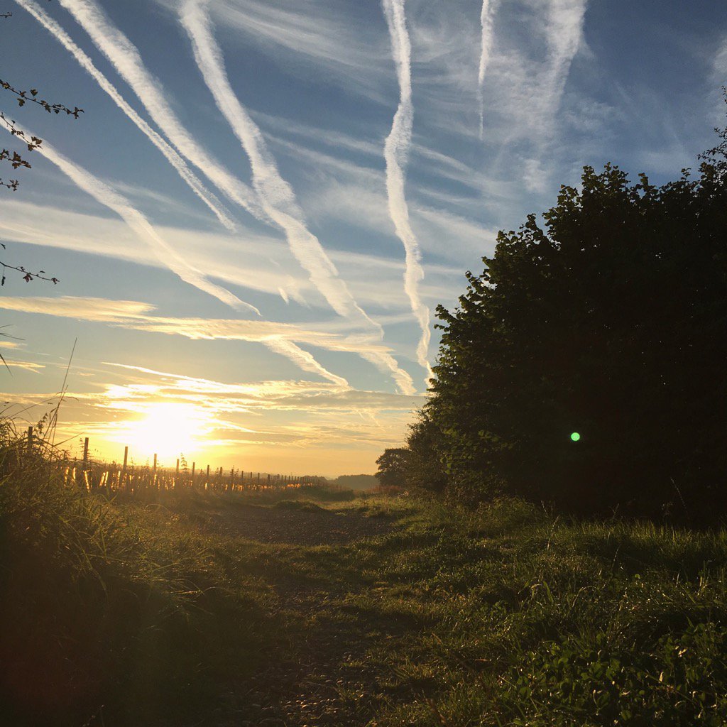 NaylorFay's tweet photo. A beautiful start to the bank holiday Monday 👌 #bankholiday #skies #planetrails #summer #beautiful #Britain https://t.co/wkVDpfvaye