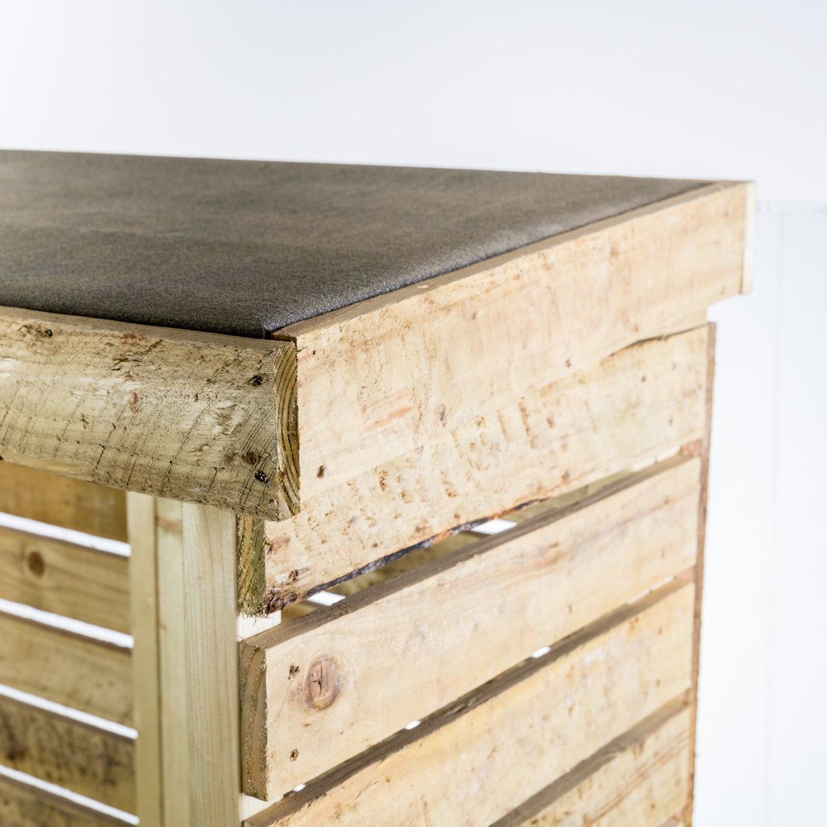 Hazel Osborn tweet media