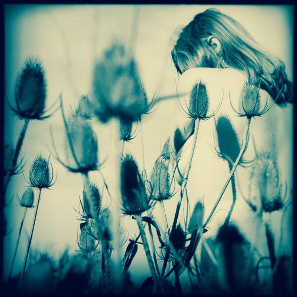 Jopolkadot's tweet photo. "I will touch a hundred flowers and not pick one"
Edna St Vincent Millay
©Daniel Southard. https://t.co/yplhGnOiGg