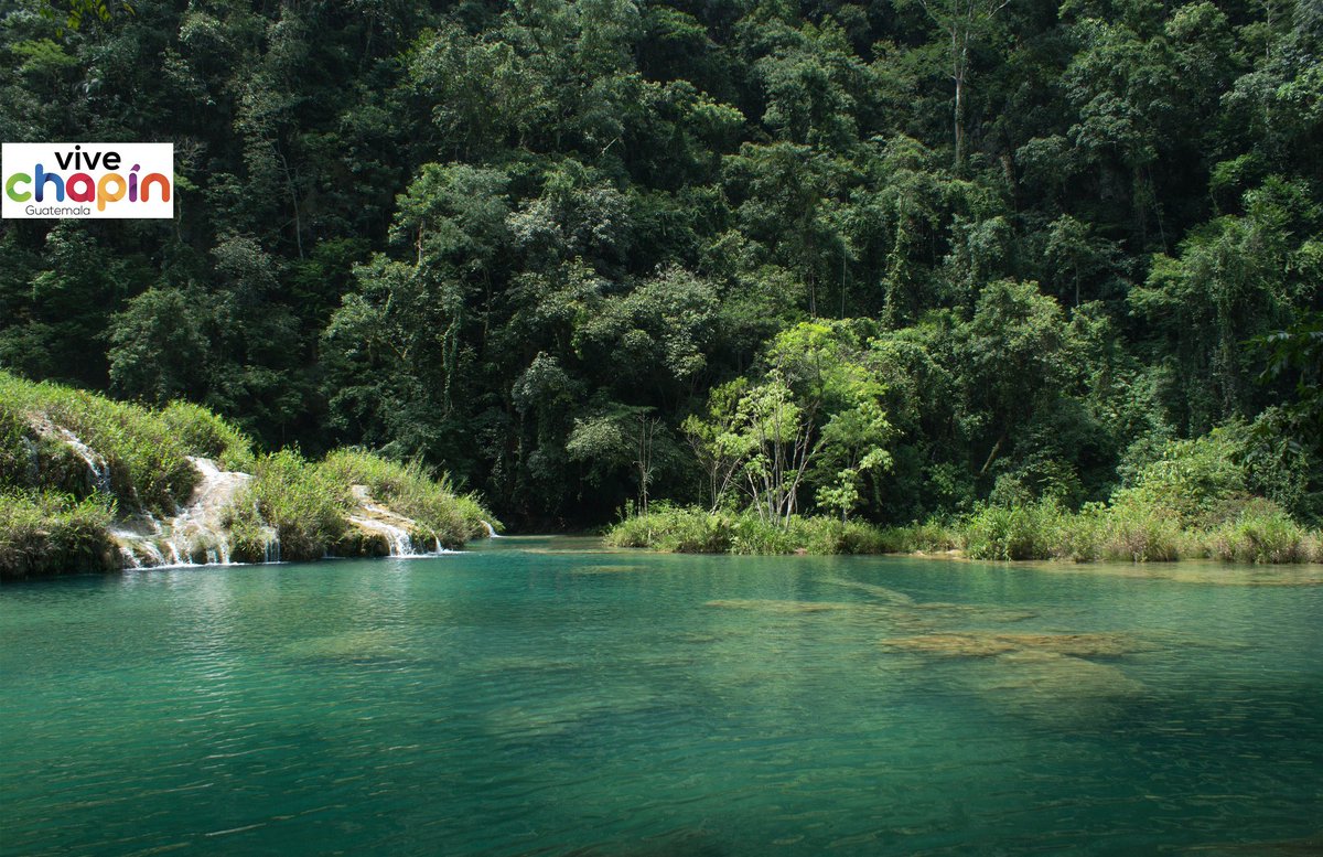ViveChapin's tweet photo. #SemucChampey https://t.co/70fag03054 
#ViveChapin 
#ExplorandoGuatenala #losrinconesdemiguate #Lanquin #GuatemalaEsElSecreto #Guatemala https://t.co/aUPWvIbC0Y