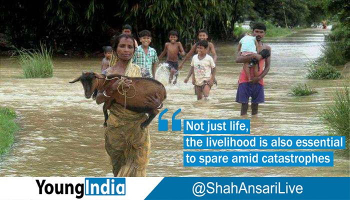ShahAnsariLive's tweet photo. https://t.co/sMTasbeuGG