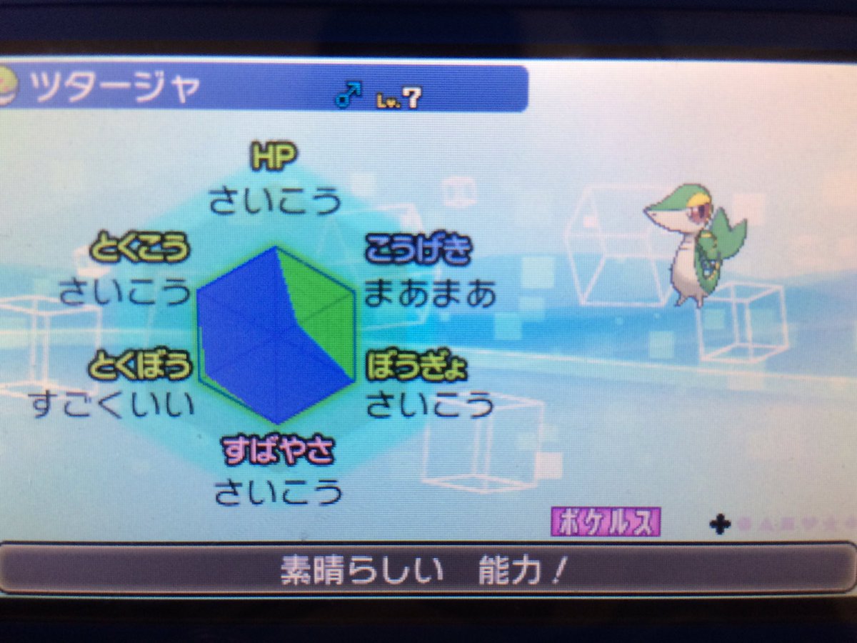 コチニール ポケモンダブル勢 突然ですが 2匹のツタージャに ポケルス が付きました 性格は おくびょう 特性は あまのじゃく 夢 両方ともオス めざパ厳選はしてません 技 へびにらみ ミラーコート くろいまなざし グラスフィールドです