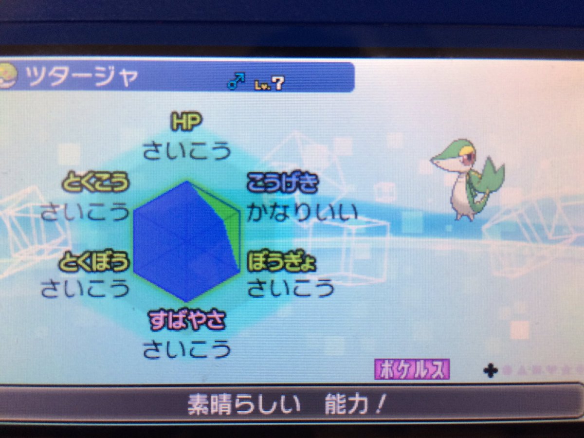 コチニール ポケモンダブル勢 突然ですが 2匹のツタージャに ポケルス が付きました 性格は おくびょう 特性は あまのじゃく 夢 両方ともオス めざパ厳選はしてません 技 へびにらみ ミラーコート くろいまなざし グラスフィールドです