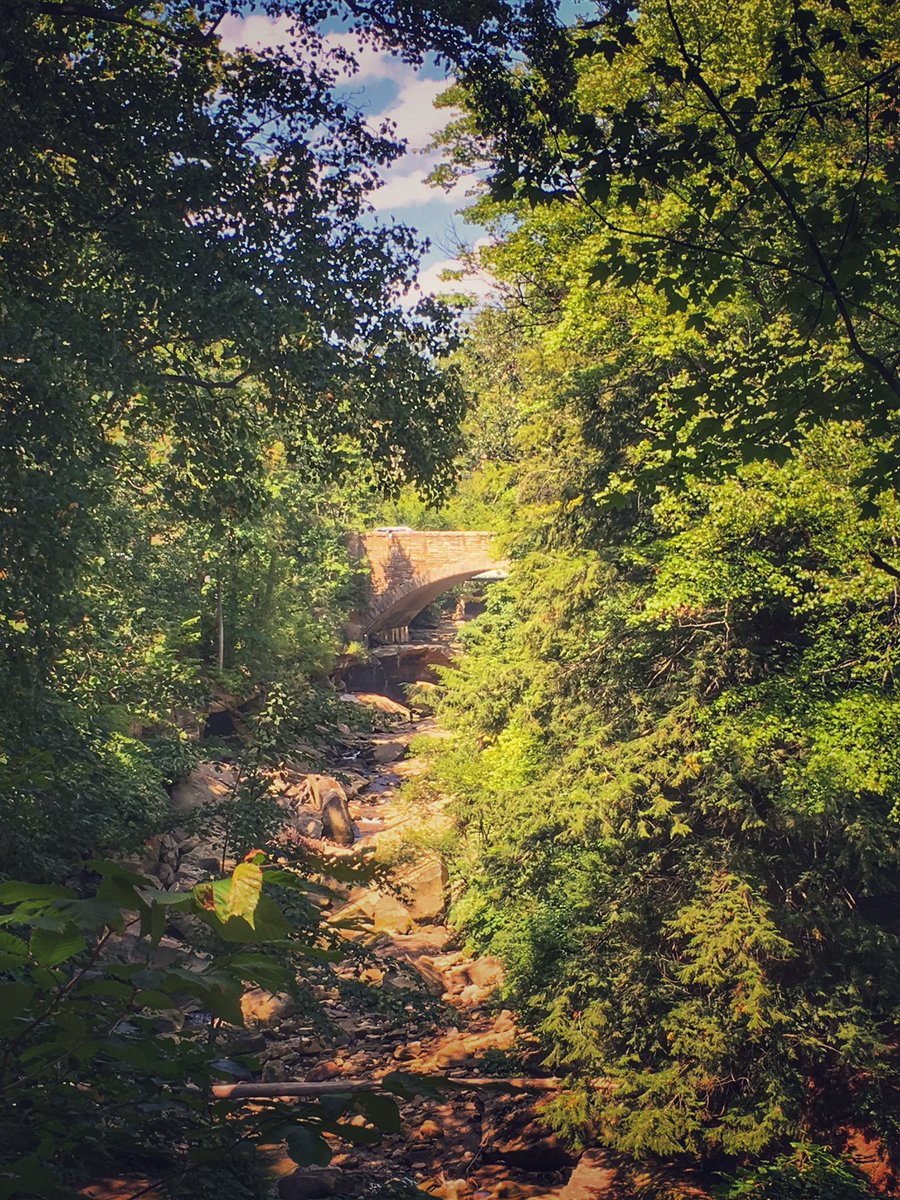 xKranium's tweet photo. Gonna be back on stream this weekend Fam, been exploring places and feeling happy. Miss you guys, can't wait to hang 🤙🏾 https://t.co/DwoTb2Ekjx