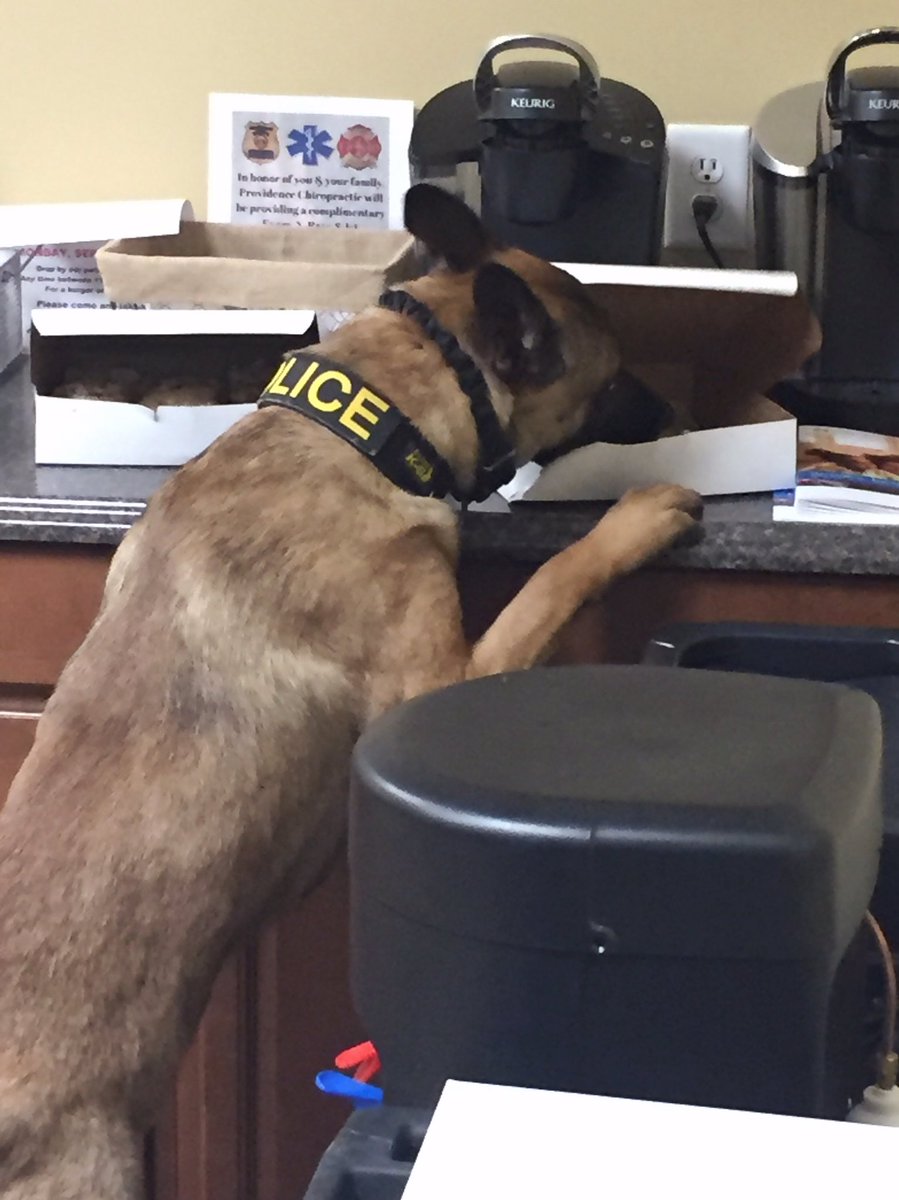 Well folks, he is officially a police officer. Majlo was spotted getting into the donuts at headquarters.