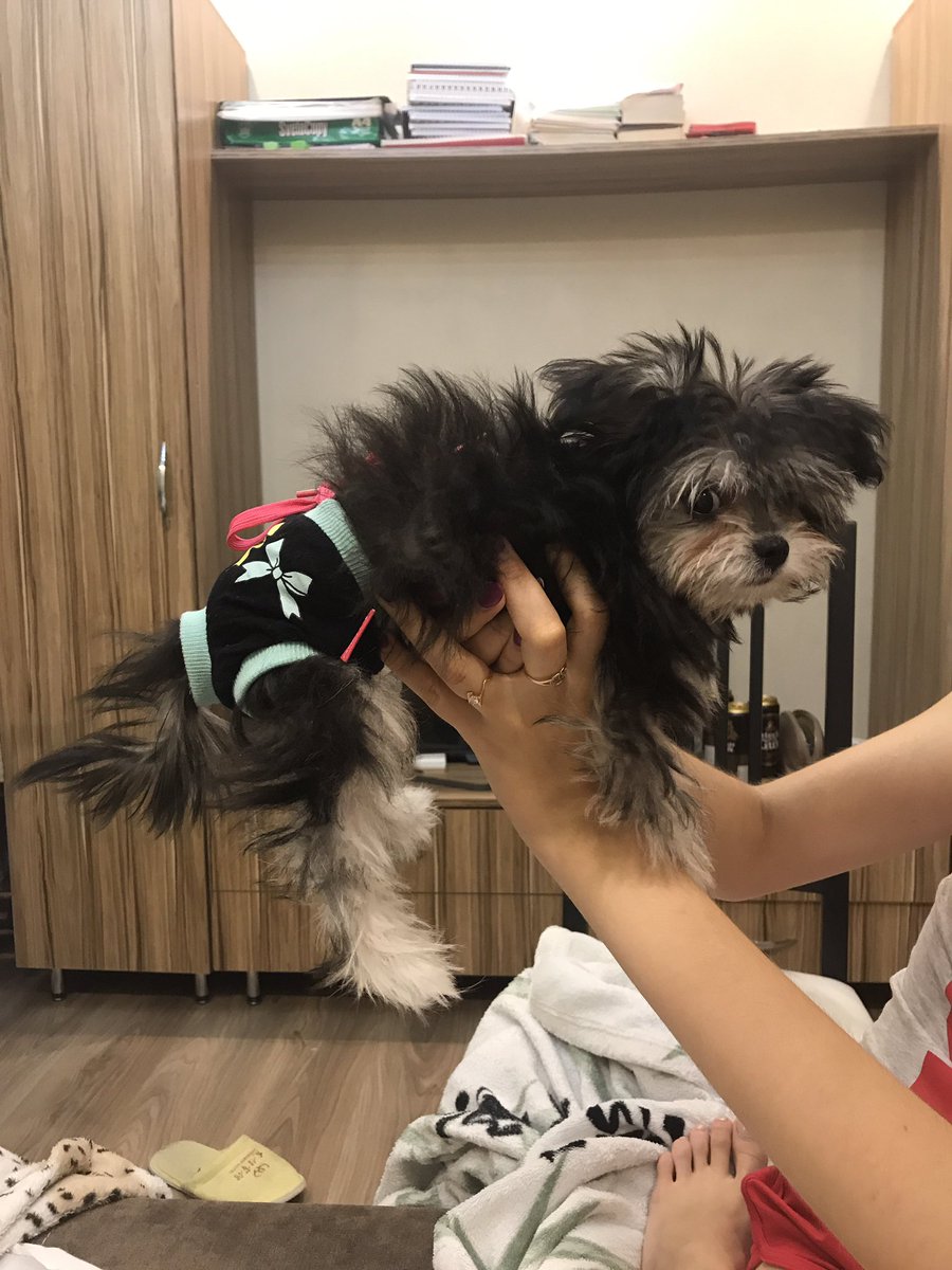 vita_parker's tweet photo. Секс-барьер https://t.co/yiYlF6ukNP
