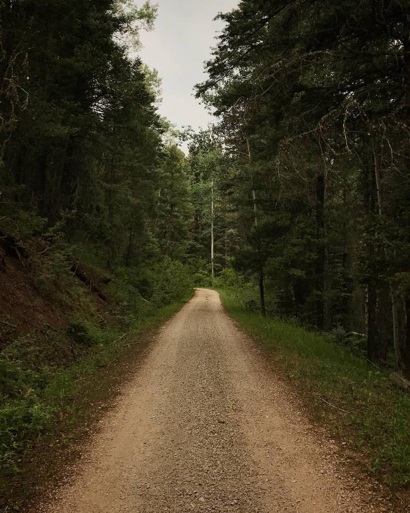 waze's tweet photo. Dirt roads = beautiful *day* time joyride. #WazeRoadTrip
        
Insta 📸: ginopatrucci https://t.co/XWcN2PdNgm
