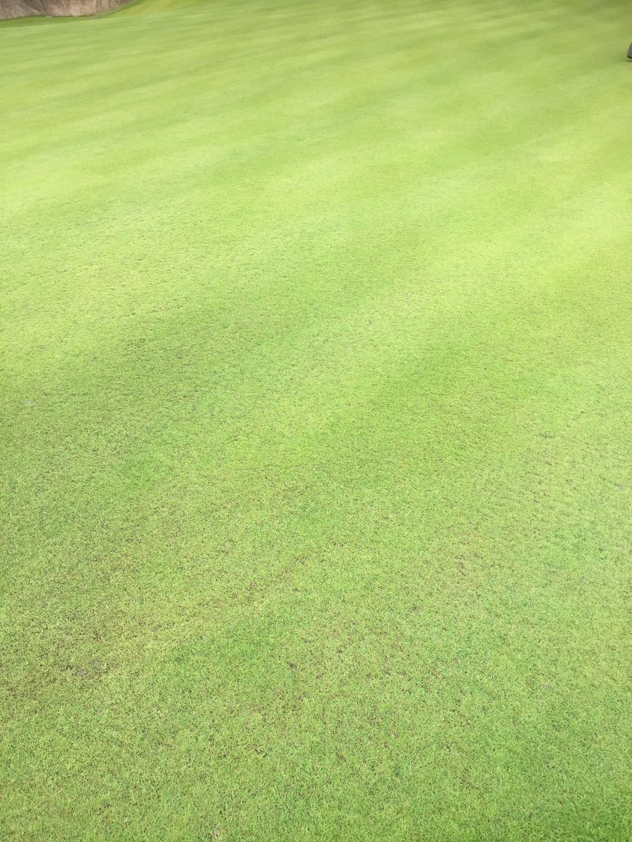 Jan van den Bosch tweet media