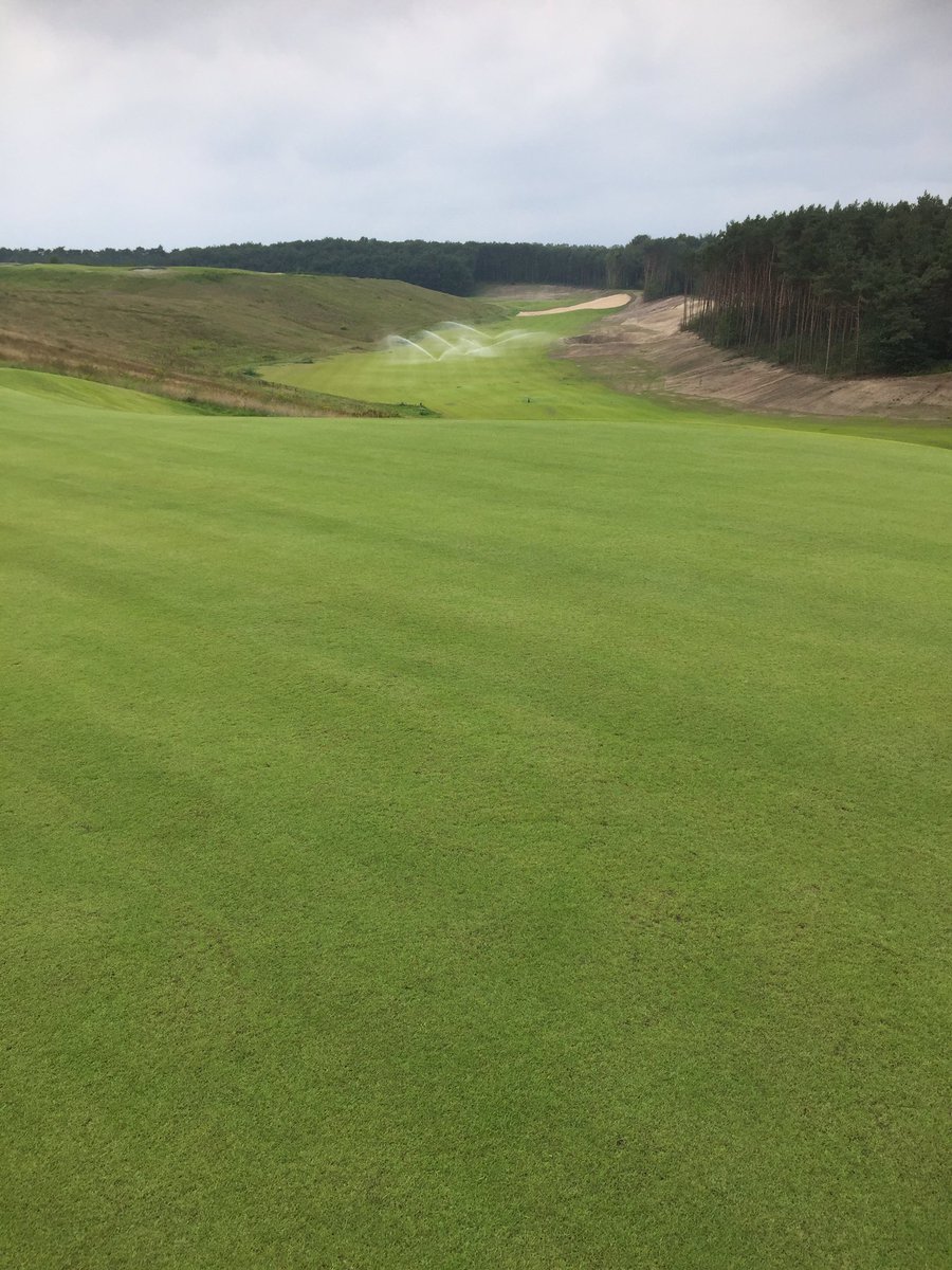 Jan van den Bosch tweet media