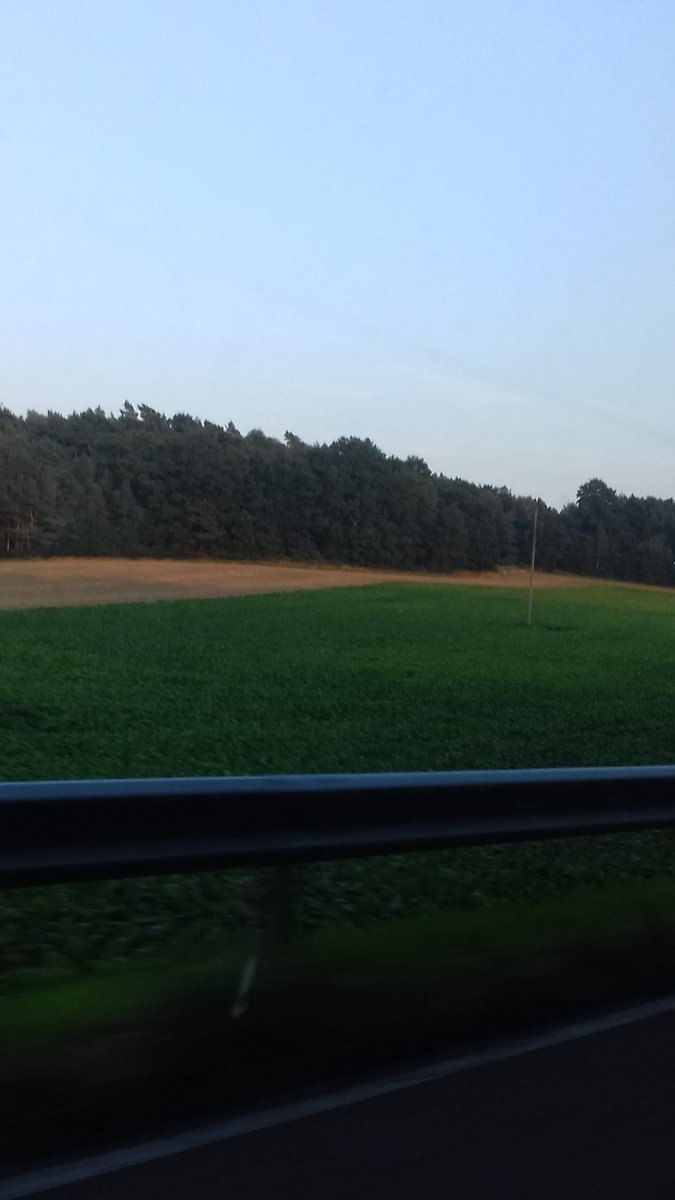 Grad beim Autofahren... Bratan du weißt!!!  👌👊