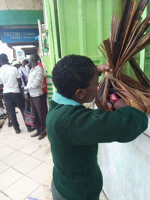 View image on Twitter